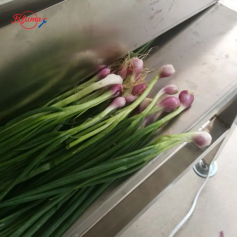 Green onion skin blowing machine: