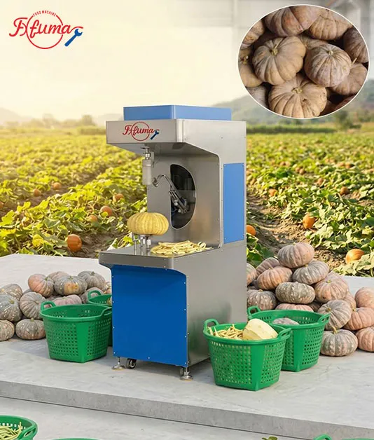 Pumpkin Processing Equipment: Complete Line for Peeling, Washing and Dicing