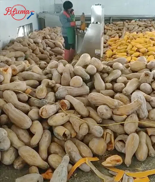 pumpkin factory pumpkin processing plant