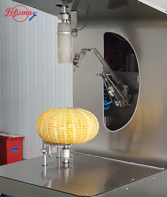 flat pumpkin peeling machine