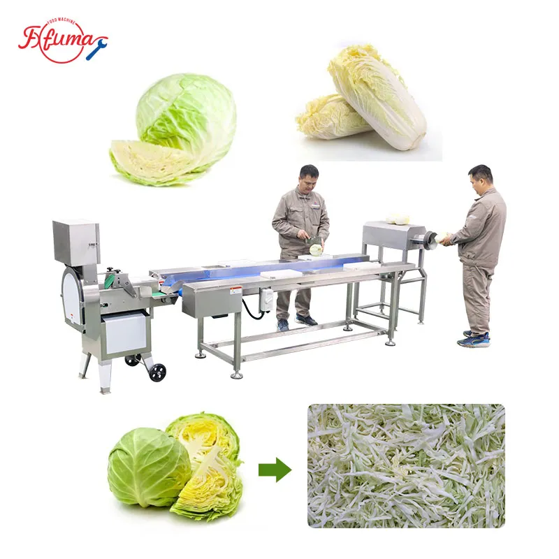 Semi-Automatic Cabbage Shredding Line 500kg/h with Coring Machine & Sorting Table for Fresh-Cut Vegetable Processing