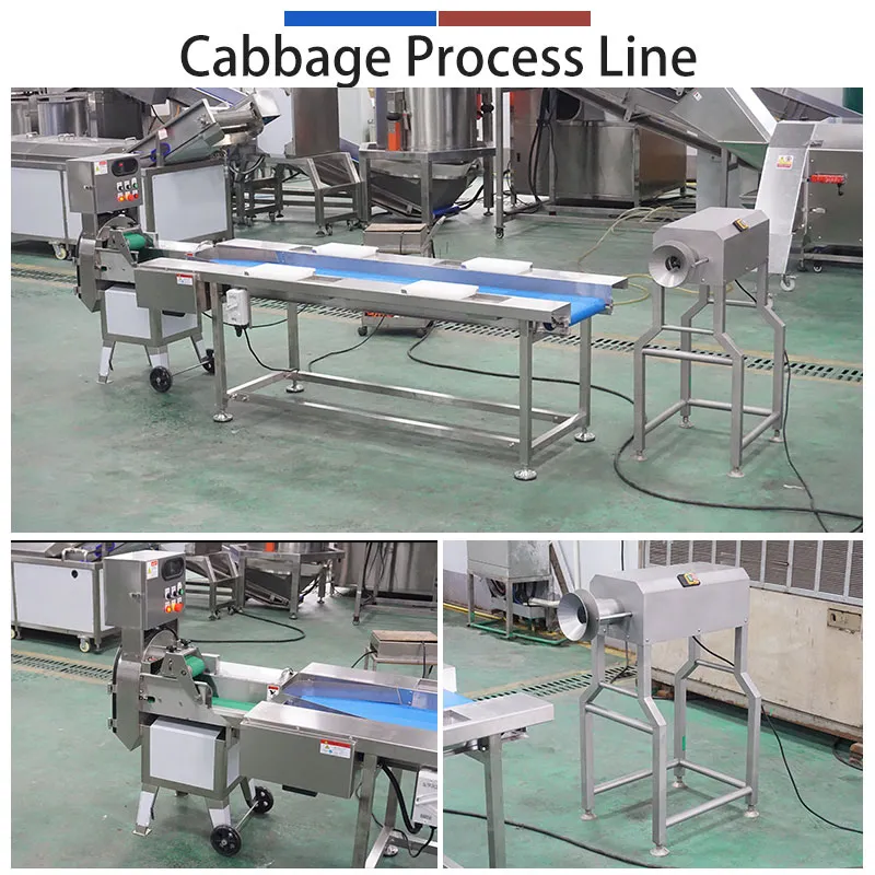 Turnkey Cabbage-to-Shred Solution