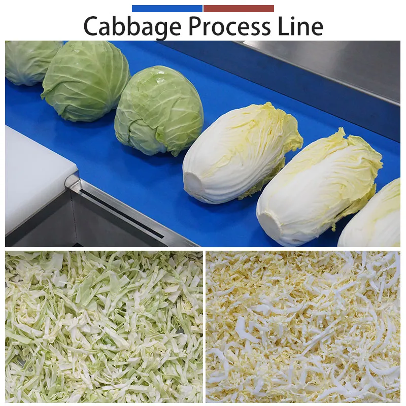 Turnkey Cabbage-to-Shred Solution