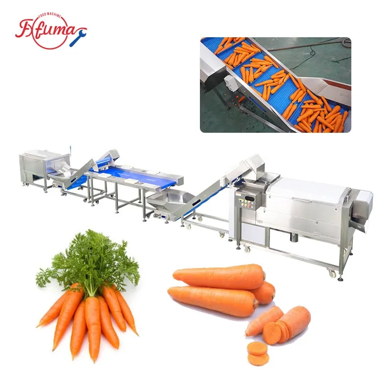 Carrot Processing Line - Washing, Cutting and Peeling Machine