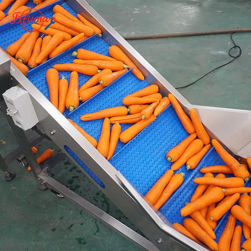 fresh cut carrot processing line