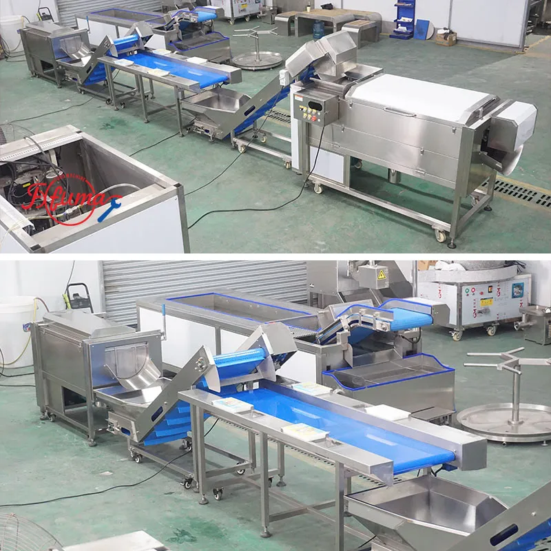 fresh cut carrot processing line