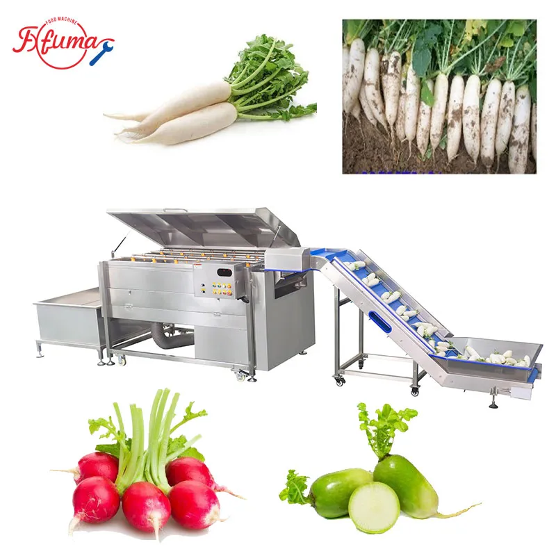 radish brush washing machine