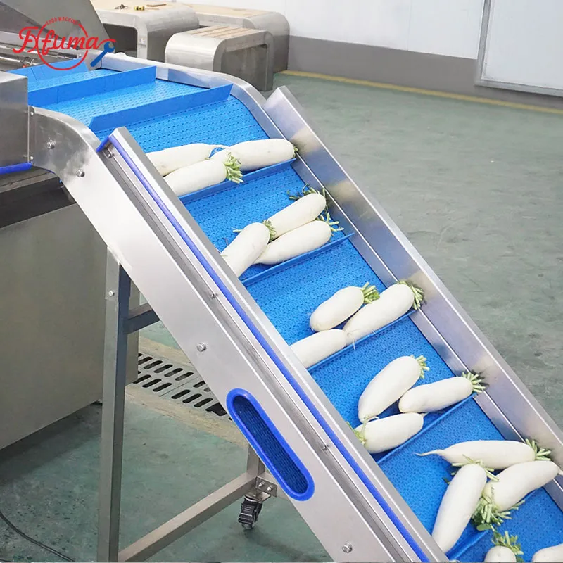 radish brush washing machine