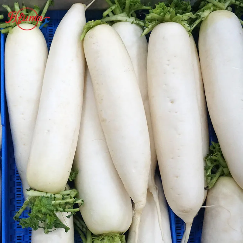 white radish washing machine