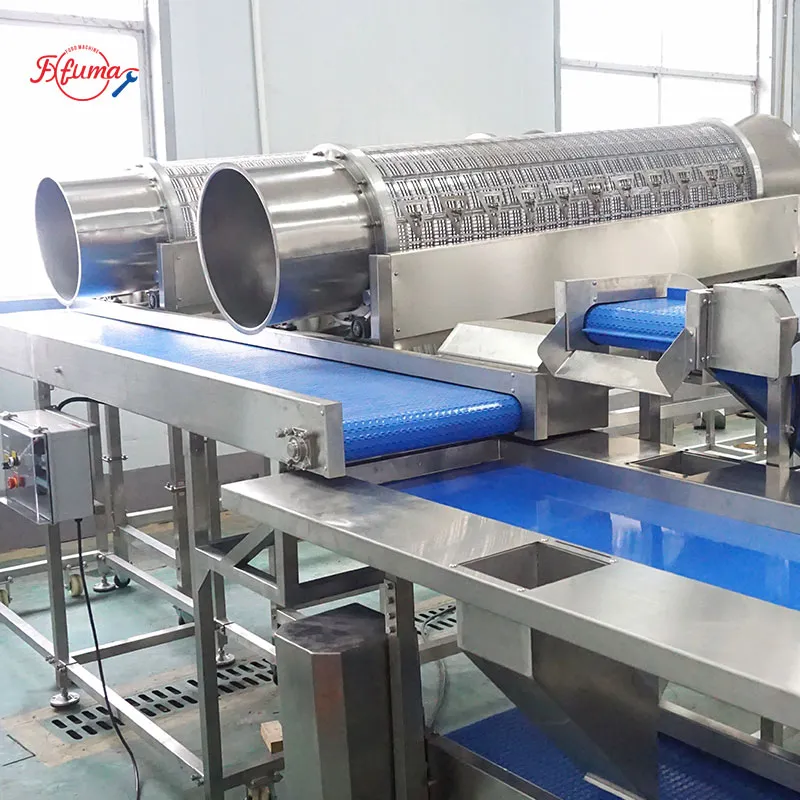 Pre-Cut Green Beans Processing Line