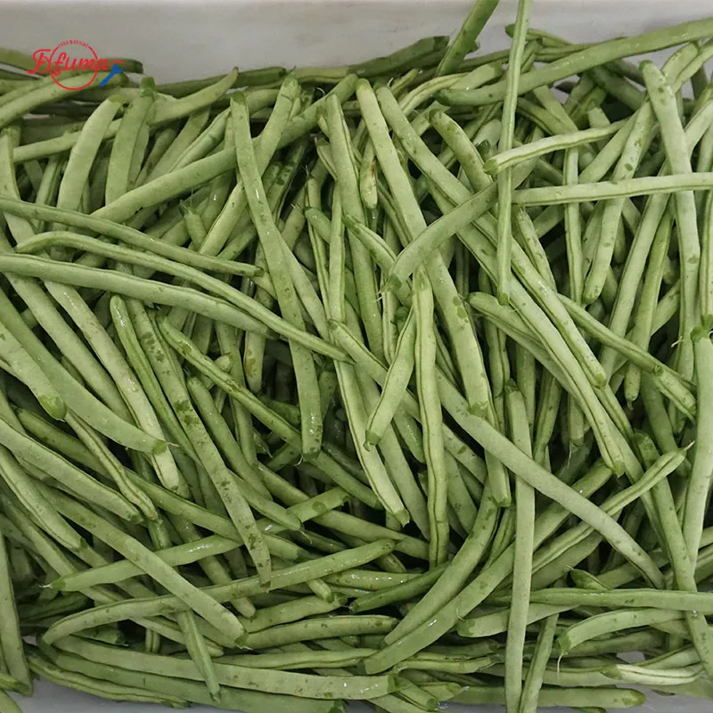 Pre-Cut Green Beans Processing Line