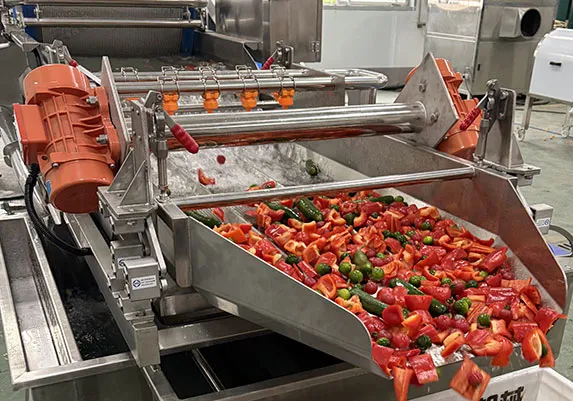 Middle East Fresh-Cut Vegetable Processing Line