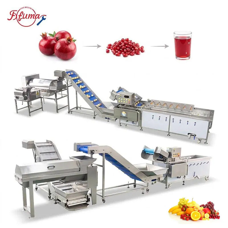 pomegranate processing line cases