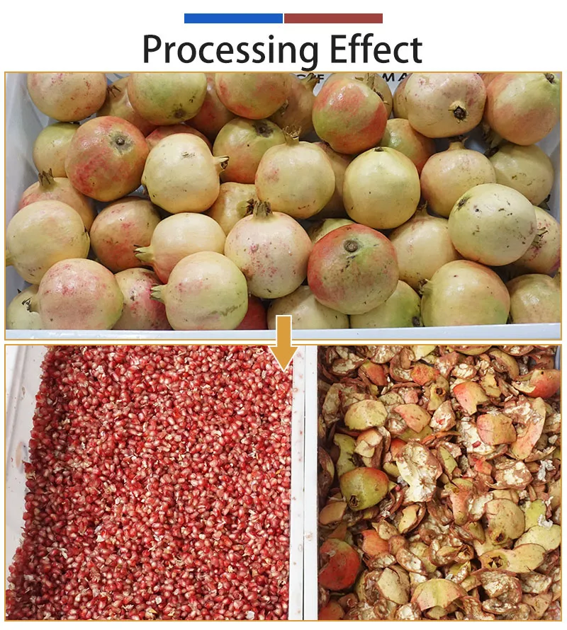 pomegranate and pomegranate seeds - fuma machine