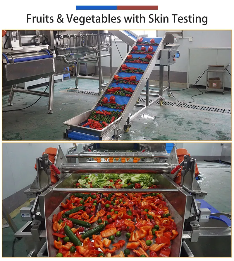 bell pepper process equipment - FUMA MACHINE