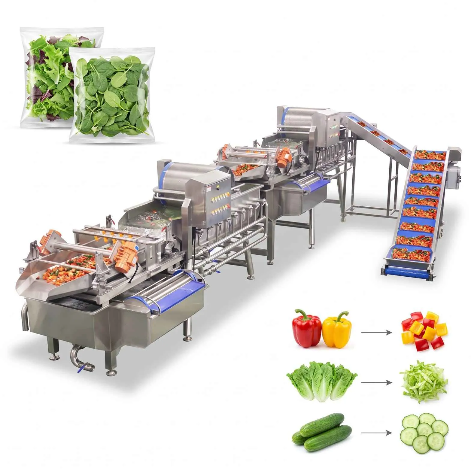 Ready-to-Cook Vegetable Processing Line 1-3 T/H