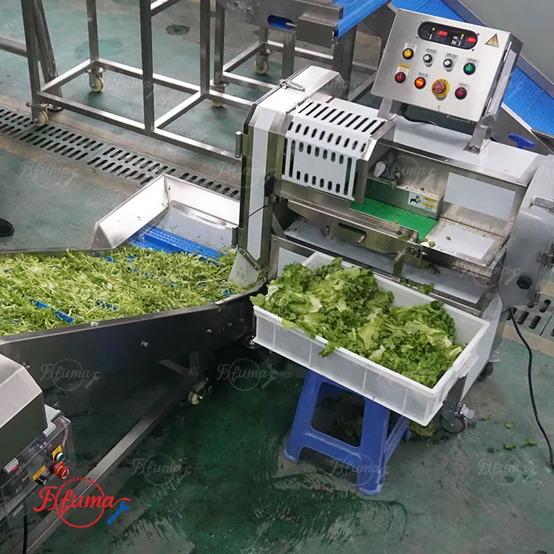 Ready-to-Eat Fresh Vegetable Process Line 800–1500kg/h