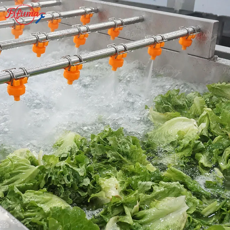 Ready-to-Eat Fresh Vegetable Process Line 800–1500kg/h