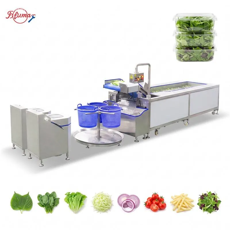 Spring Mix Washing & Dewatering Line | S-Type Vortex Washer