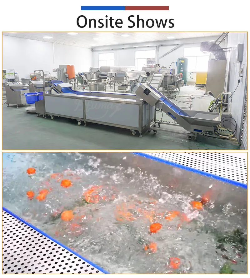 tomato cucumber washing machine with conveyor - fuma machine