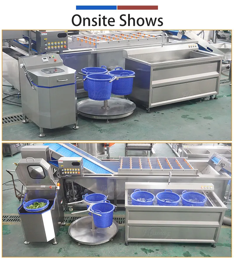 commercial vegetable washing and drying machines set