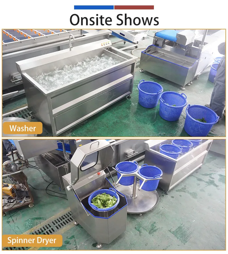 fruit and vegetable washing machine ozone and ultrasoic functions