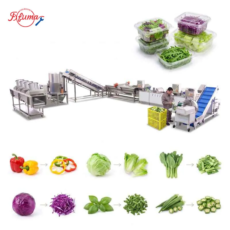 Salad and Leavy Vegetable Cutting Washing Drying Machine
