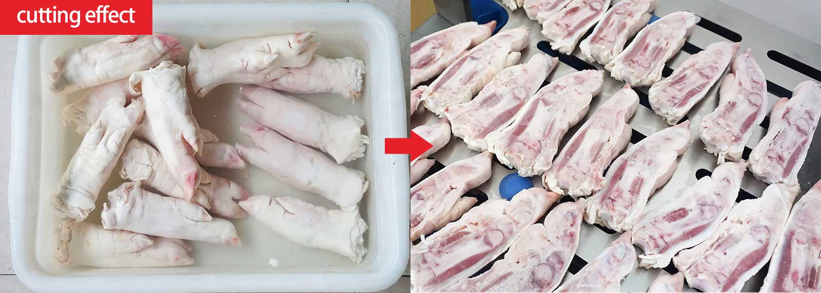 Pig trotters half-splitting machine Pork knuckle dividing machine