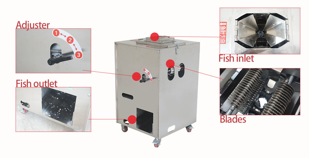 Fish gutting machine Fish killing machine