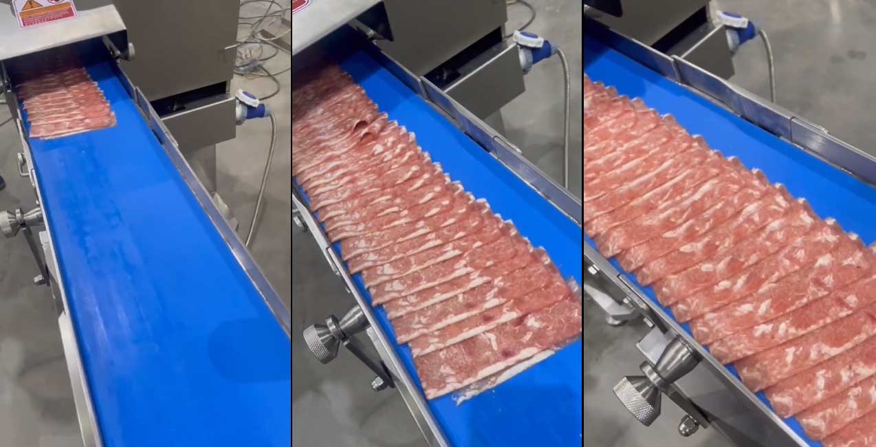 XOPJ-160 Industrial Meat Slicer Machine Manual | Official Operation