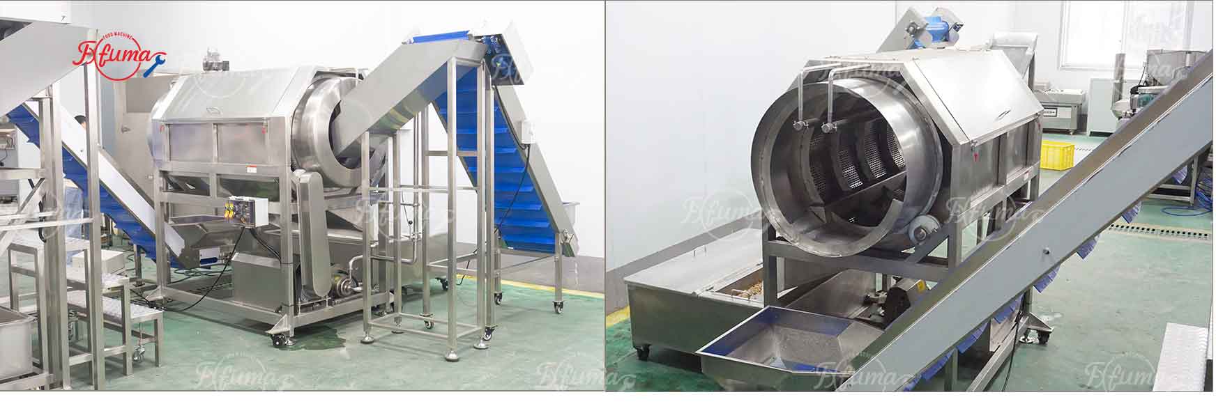 Successful Delivery of Customized Ginger Processing Production Line for Togo Client – Integrated Washing, Peeling, and Slicing with High Efficiency
