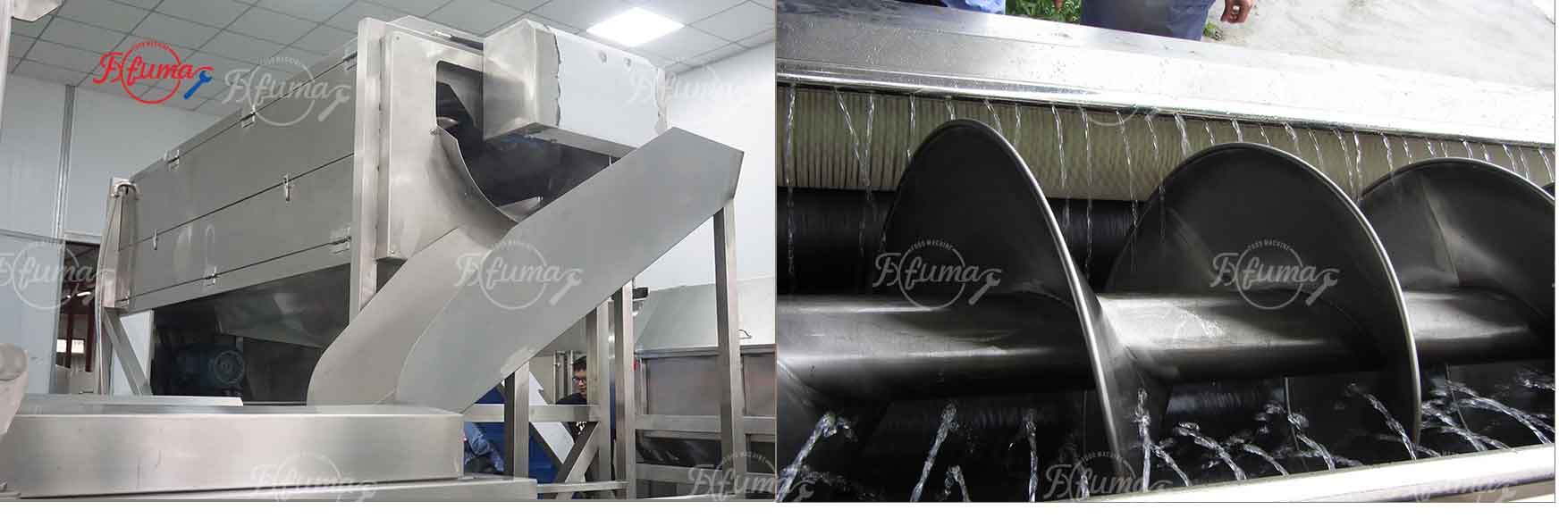 Successful Delivery of Customized Ginger Processing Production Line for Togo Client – Integrated Washing, Peeling, and Slicing with High Efficiency