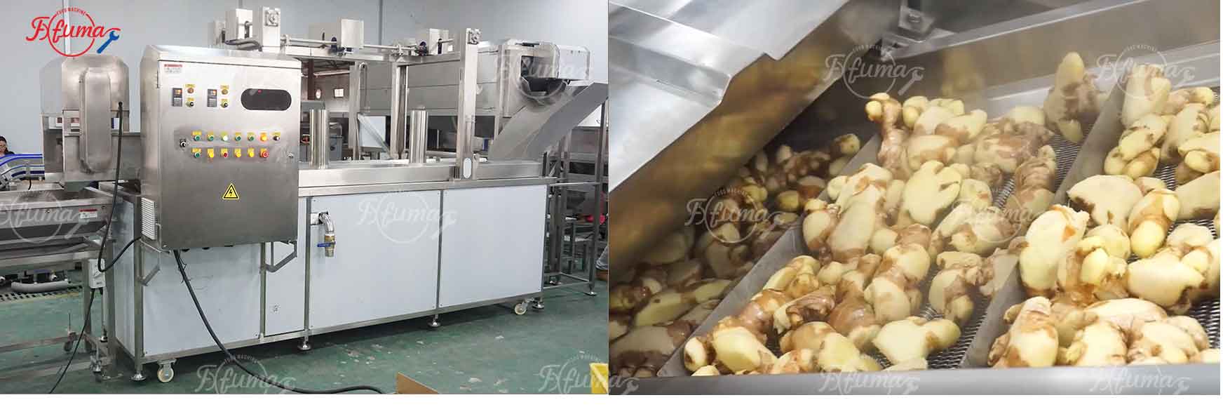 Successful Delivery of Customized Ginger Processing Production Line for Togo Client – Integrated Washing, Peeling, and Slicing with High Efficiency