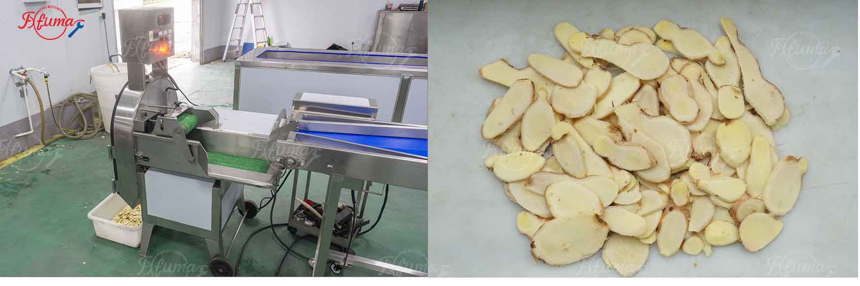 Successful Delivery of Customized Ginger Processing Production Line for Togo Client – Integrated Washing, Peeling, and Slicing with High Efficiency