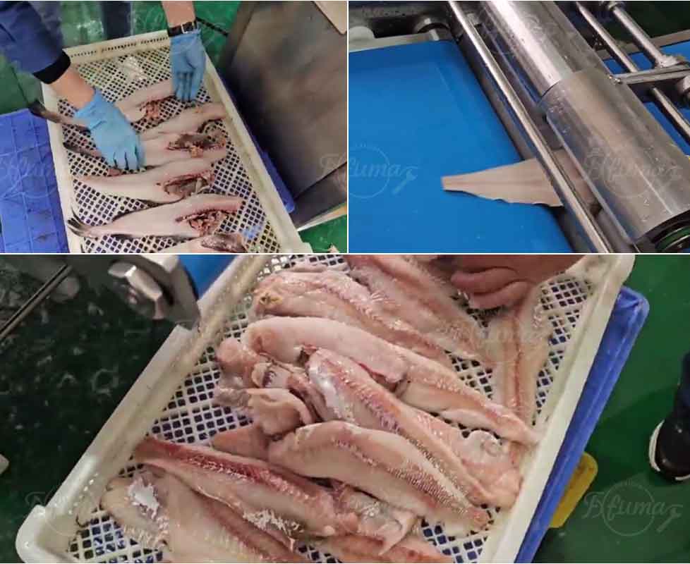 FGB-400 Automatic fish skinner machine