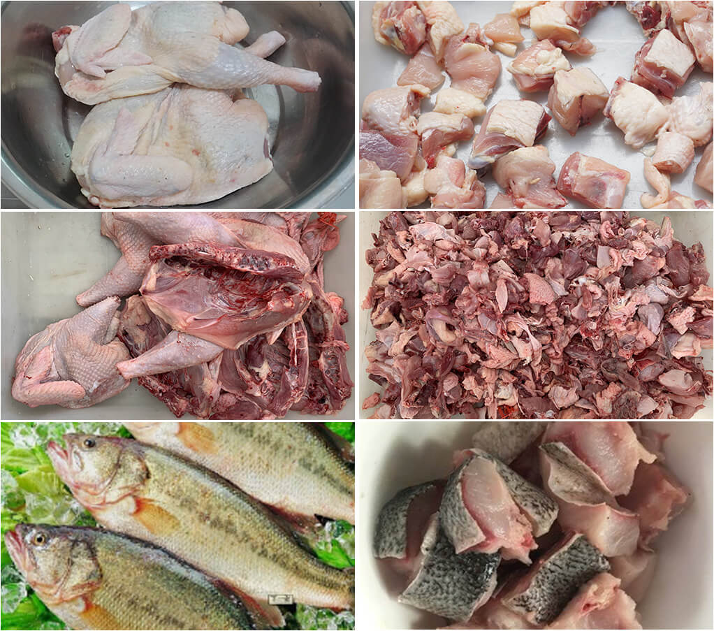 FC-300 Chicken Cutting Machine Poultry Dicer Machine