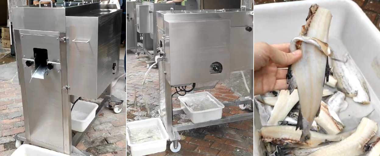 Fish Fillet Cutting Machine (FGB-180) Test Report: Cod Processing Efficiency