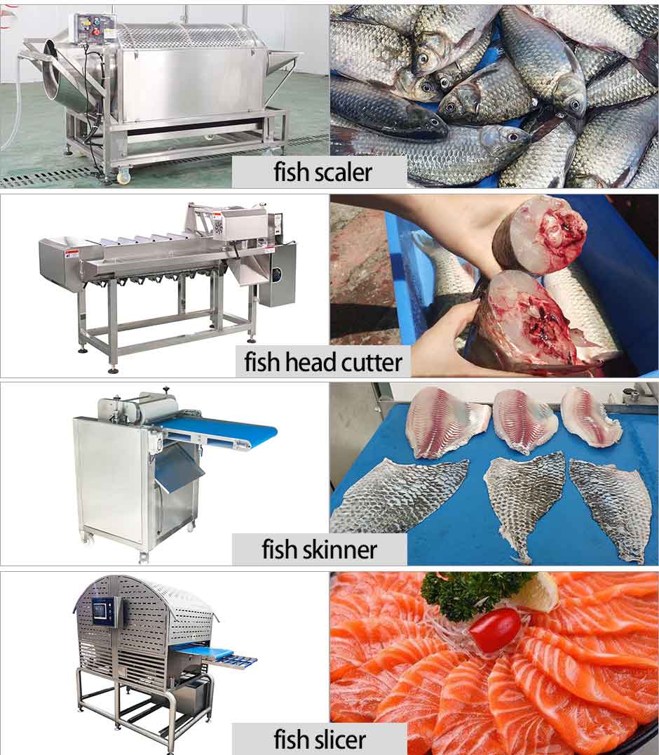 Fish Fillet Cutting Machine (FGB-180) Test Report: Cod Processing Efficiency