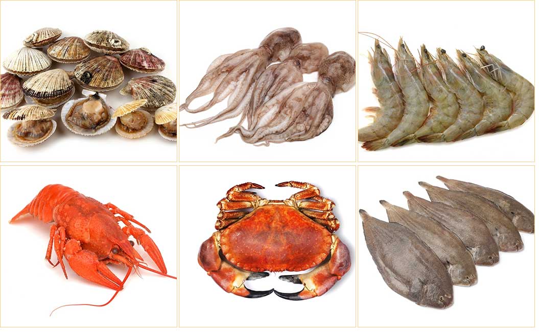 Ultrosonic shrimp crab fish washer