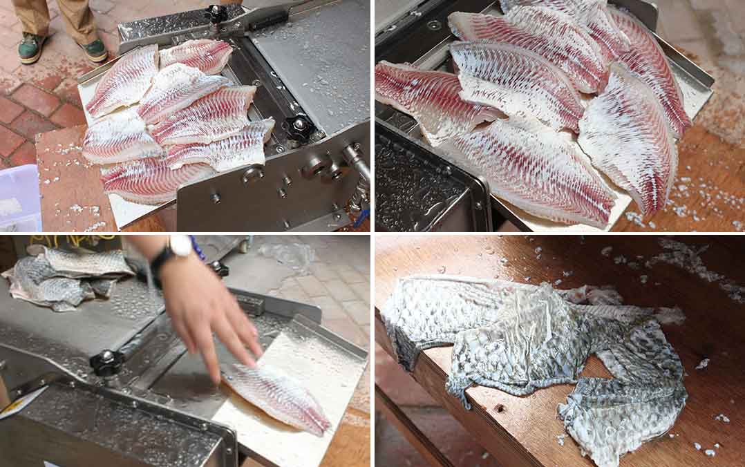 FGB-270 Tabletop skinning machine for fish/sqiud