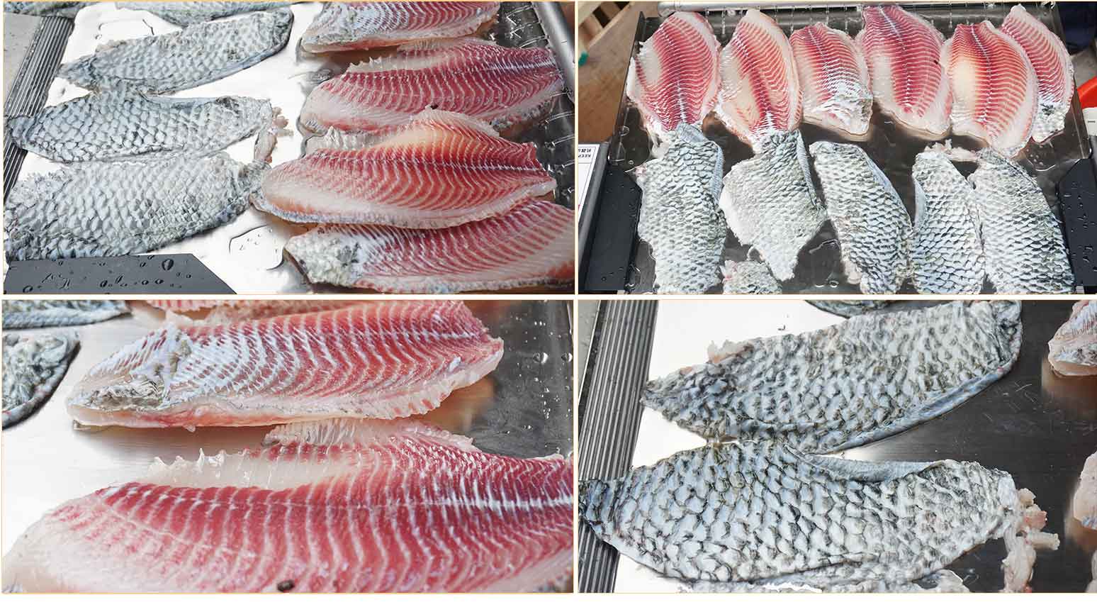 FGB-400 Fish skinning machine fish skin peeling machine