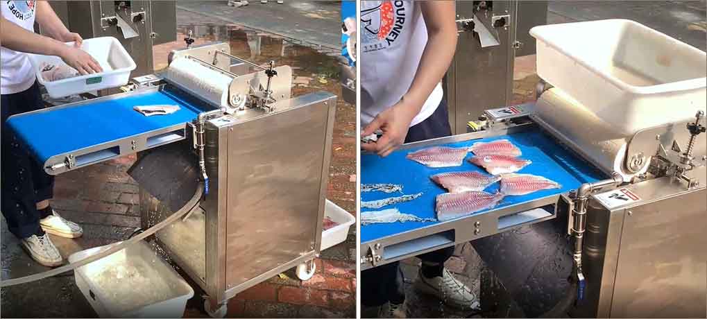 FQS-400 Fish peeler machine tilapia skin removing machine