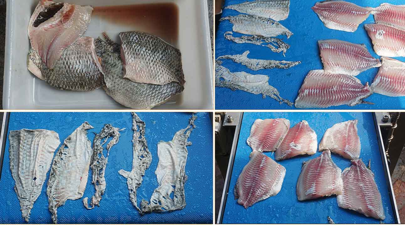 FQS-400 Fish peeler machine tilapia skin removing machine