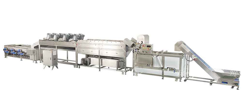 FXFM MACHINE – 20 Years in Food Machine Innovation