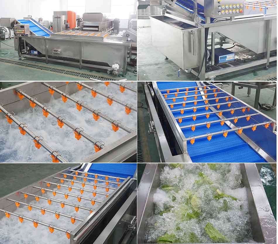 How to choose food washer machine?cid=4