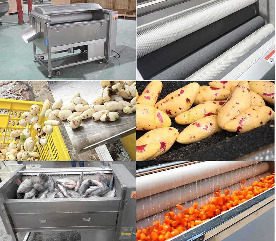 How to choose food washer machine?cid=4
