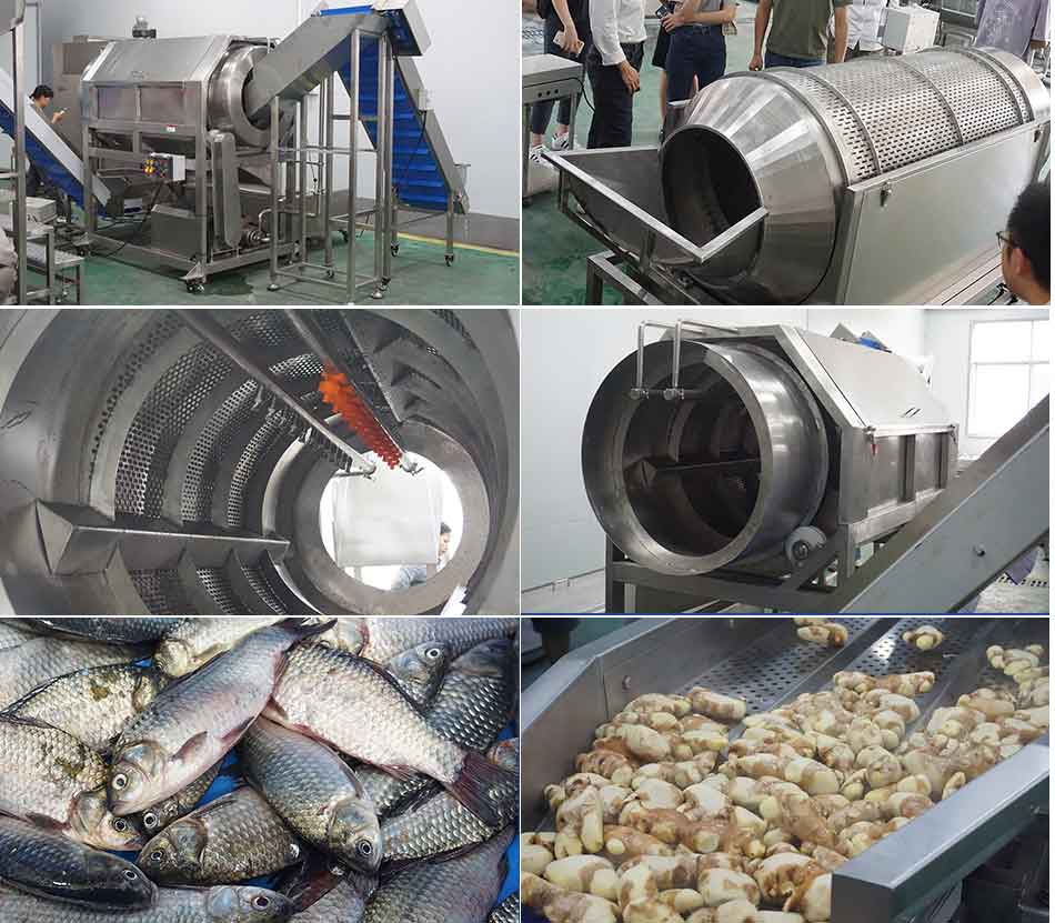 How to choose food washer machine?cid=4