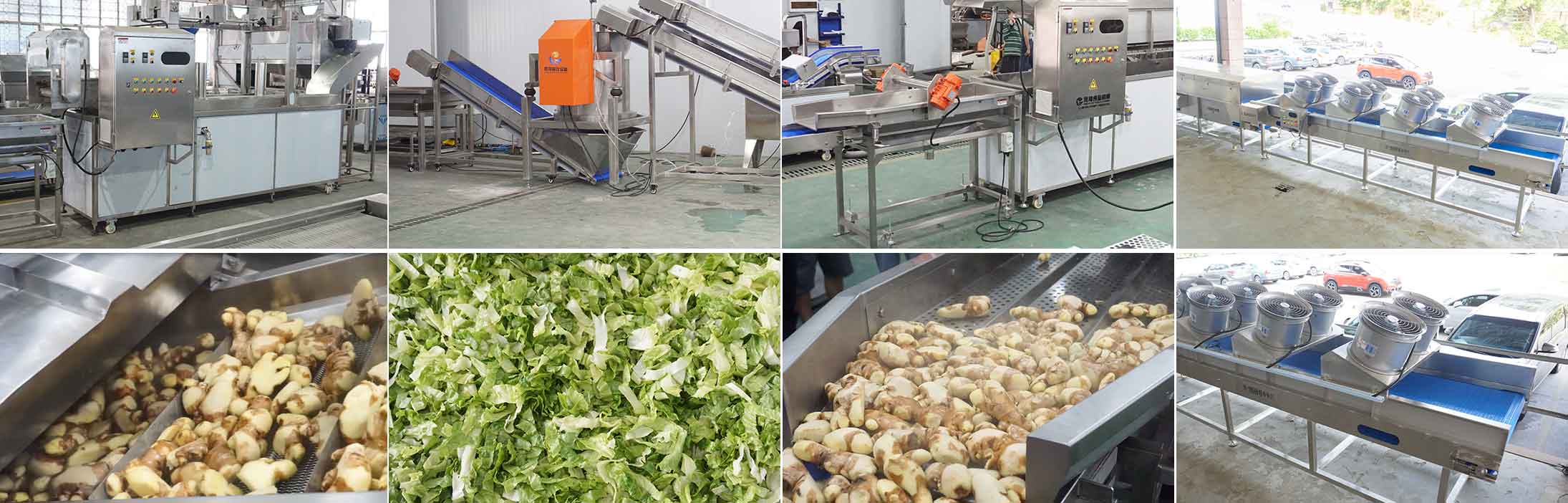 Preliminary Product Planning and Equipment Recommendations for Food Production Facilities (Part 2)