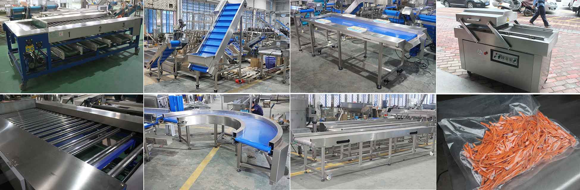 Preliminary Product Planning and Equipment Recommendations for Food Production Facilities (Part 2)