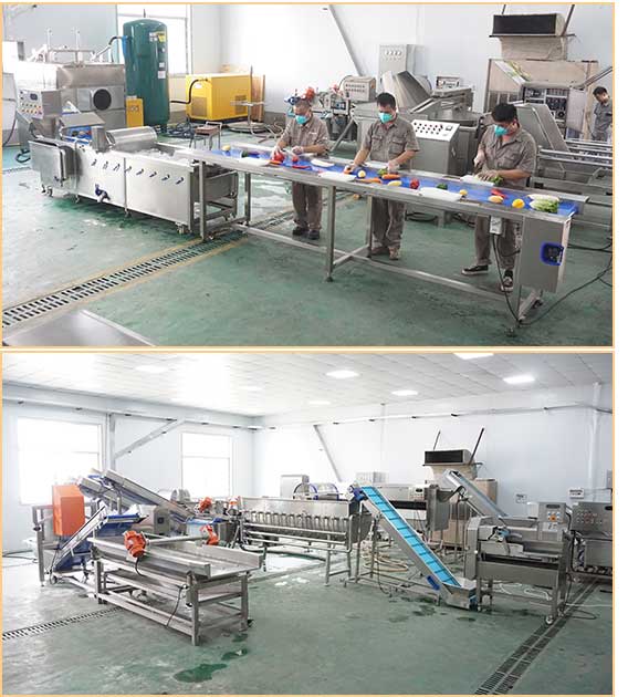 WA-2000 Industrail Bubble Fish Shrimp Meat Washing Machine